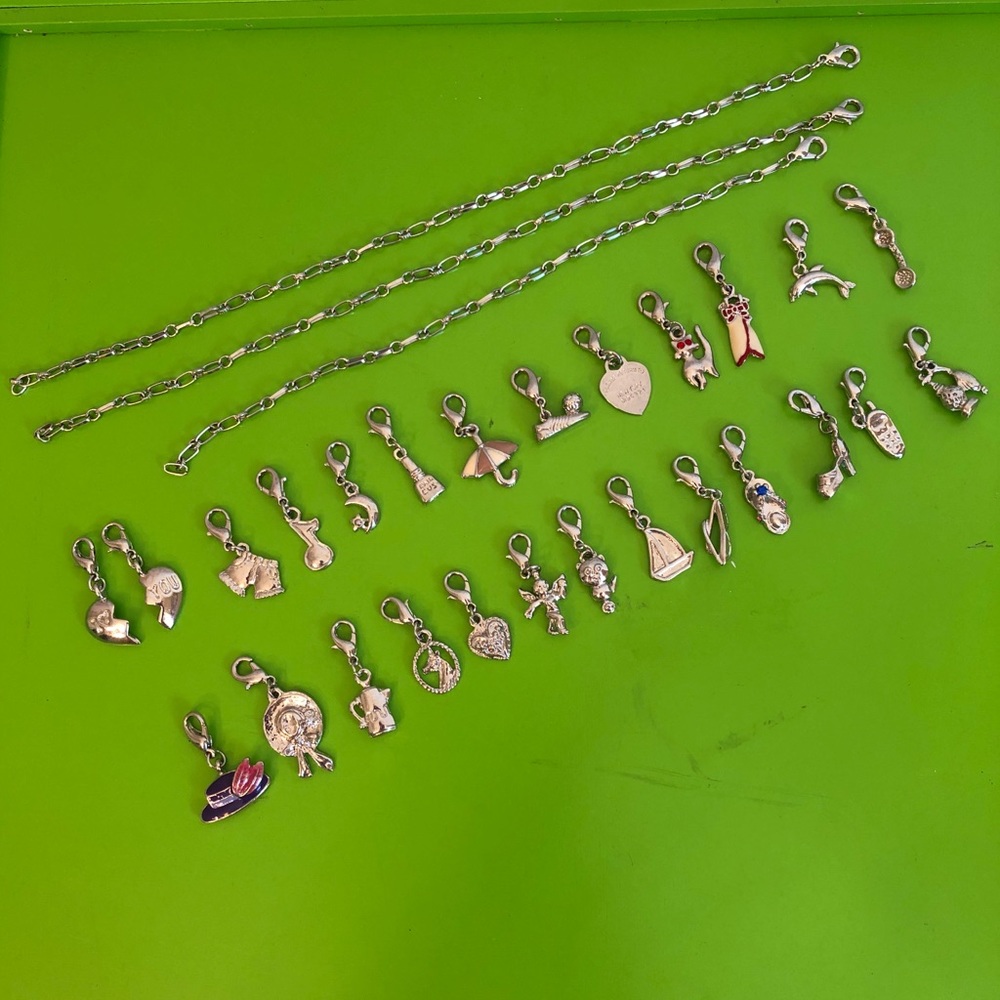 Charm Bracelet with Extra Changeable Charms - Picture 1 of 4